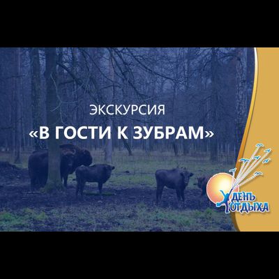 Экскурсия "В гости к зубрам"