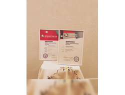 Комплект из 2-х книг: "Санкт-ПИРАНЕЗИбург. Северная империя Джамбаттиста", "ТРИ РИМА. Вечный. Новый. Третий"