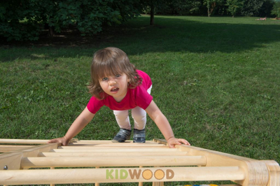 ДСК раннего развития KIDWOOD Домино оптима