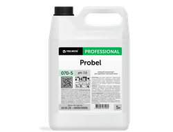 PROBEL Моющий концентрат для удаления гипсовой пыли