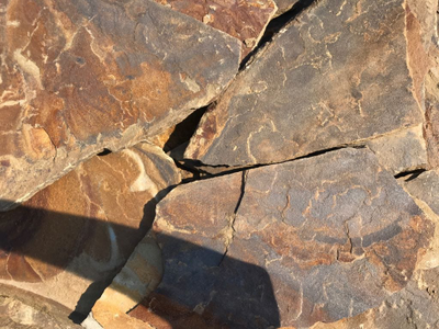 Песчаник Опавшая листва