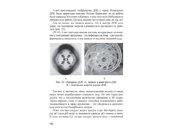 Философия и практика Теории Ионизации Риэмса. Новые горизонты метода.