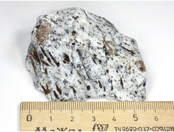 Астрофиллит на породе, Кольский п-ов, Хибины (57*45*24 мм, 70 г) №26161