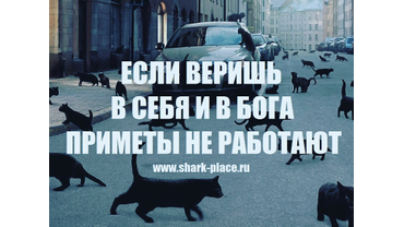 СОЮЗ ПРОФЕССИОНАЛОВ SHARK-PLACE - ЕСЛИ ВЕРИШЬ В СЕБЯ И В БОГА...ПРИМЕТЫ НЕ РАБОТАЮТ...