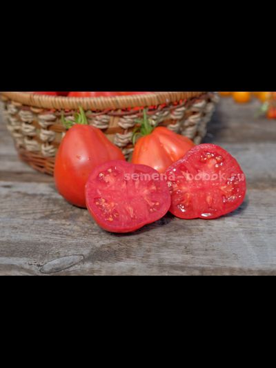 Томат Red Pear (Giant) Gransasso Strain (Красные Груши гигант Гран-Сассо), 10 шт