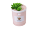 Увлажнитель воздуха Usb Foonee Succulents mini оптом