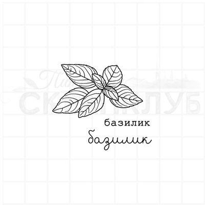 Штамп для скрапбукинга листья базилика, картинка и надпись