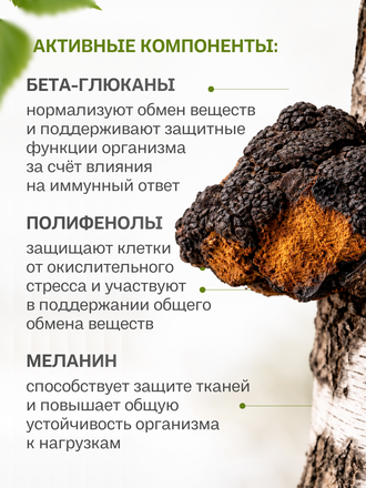 Экстракт чаги для внутреннего применения 100 гр.