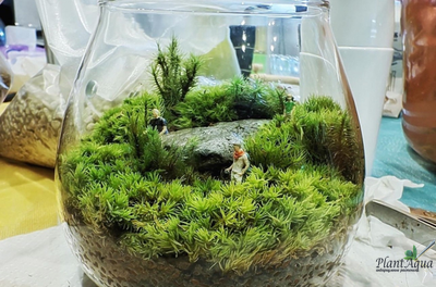 Чаша Пузырь Biolark  FOUR (120мм х 105мм)