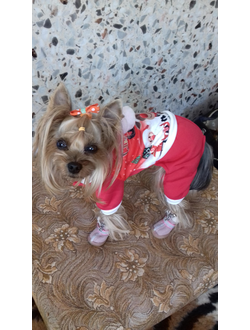 Новогодний костюм для собак Merry Christmas