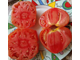 Томат Ребристый Эуганских Холмов (Costoluto Colli Euganei), Италия