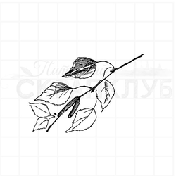 Штамп для скрапбукинга березовая ветка