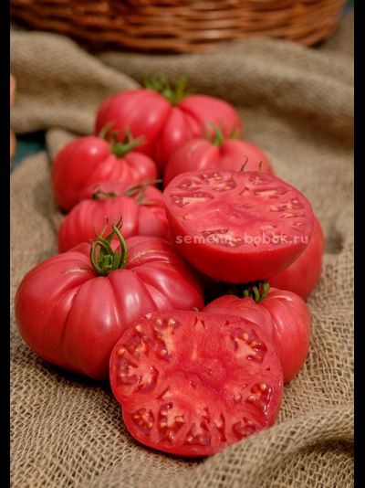 Томат Чалма Агры, 10 шт