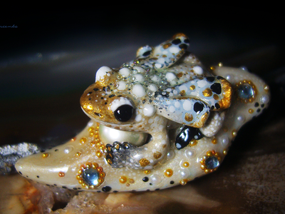 Мини-брошь с жемчугом и крылатой лягушкой "Царская бабочка, Дивная Зоренька"