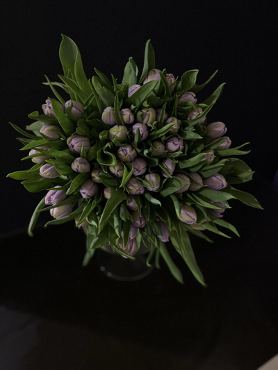 Тюльпаны пионовидные 51 шт