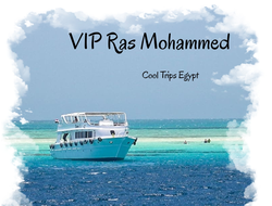 Sea trip Vip Ras Mohammed and White Island (with the possibility of diving for beginners)