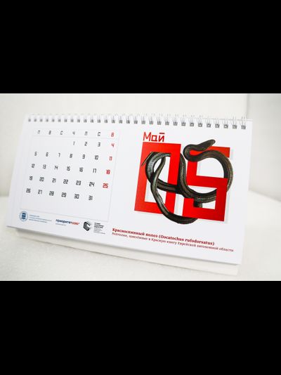 Настольный календарь «Краснокнижные животные ЕАО»