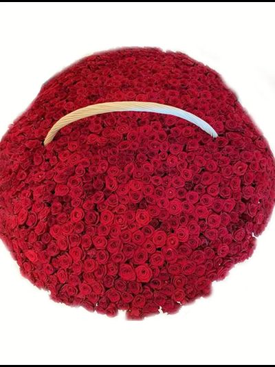 1001 красная роза в корзине