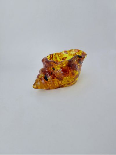 Ракушка с емкостью