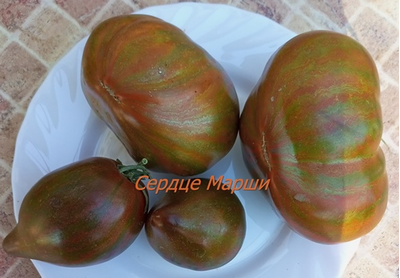 Томат Сердце Марши (Marsha's Starfighter Heart)