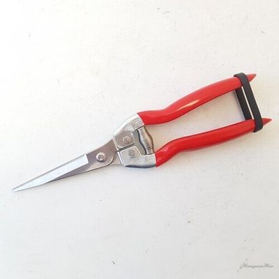 Ножницы SB21-1 универсальные для цветов