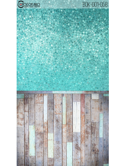 Фотофон «Пегас»