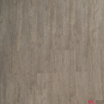 SPC ламинат Alta Step Perfecto Дуб Серый SPC 8801 купить на vinyl-laminat.ru