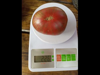 Томат Гном Малиновая нерка (Dwarf Crimson Sockeye)