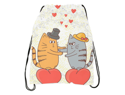 Сумка-мешок для обуви Котики №1