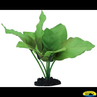 81012-40  Растение шелковое Анубиас Бартера 40см