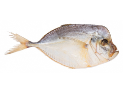 Вомер вяленый