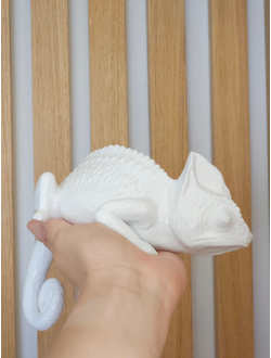 Хамелеон (интерьерный)