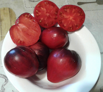 Семена томата КАС 21