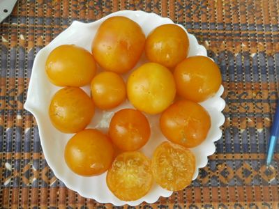 Томат Сладкий ангелочек
