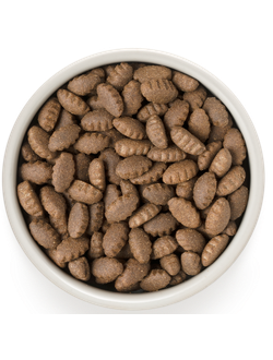 Grandorf (Грандорф): сухой корм для собак крупных пород Индейка, 10 кг