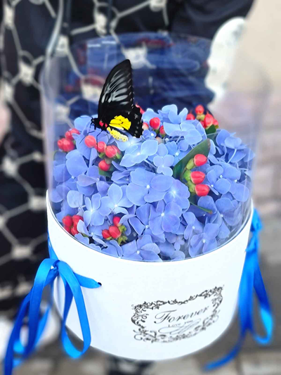 Синяя гортензия с большой бабочкой №61