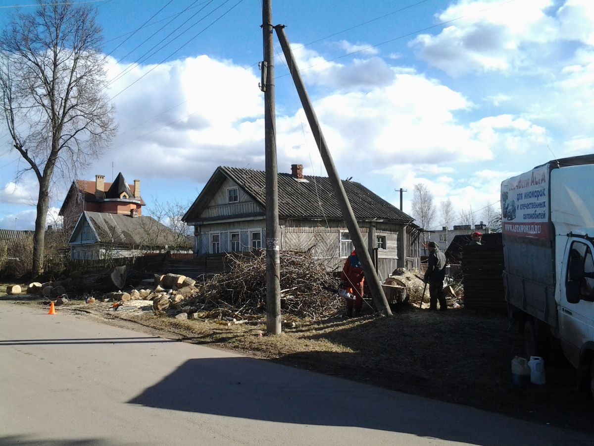 Валка дерева с автовышки и автокрана Луга