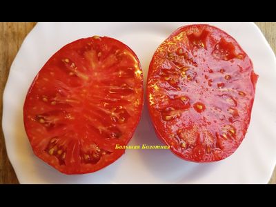 Томат Большая болотная (Grosse des Marais)