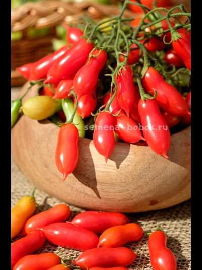 Томат Pelino 2014 (Пелино 2014), 7 шт