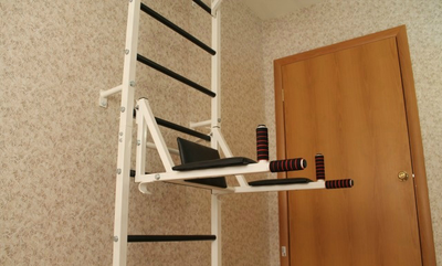 Брусья-пресс с креплением для штанги