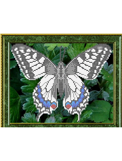 Махаон, К4153