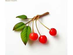 Брошь (заколка) "С вишнями" .