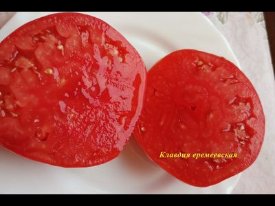 Томат Клавдия еремеевская
