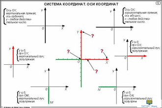 Функции. Их свойства и графики  (20 шт), комплект кодотранспарантов (фолий, прозрачных пленок)