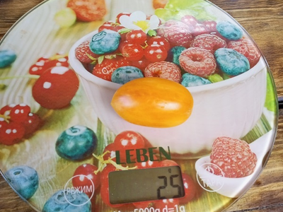 Томат Счастливый тигр (Artisan Lucky Tiger)