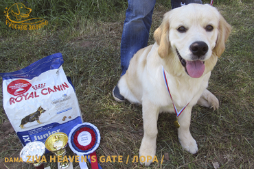 Первая выставка. 6 мес