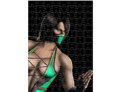 Пазл Мортал Комбат, Mortal Kombat №29