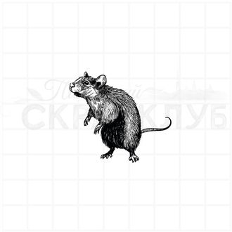 Штамп для творчества мышь на задних лапах