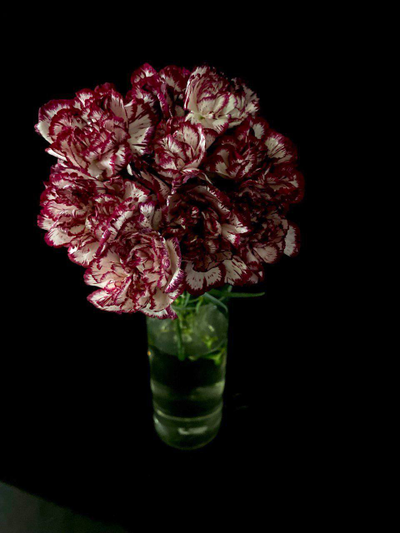 Гвоздика 15 шт