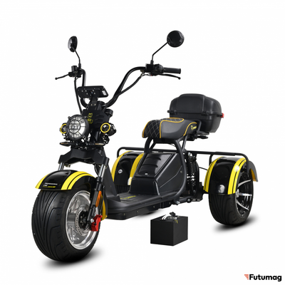 Электроскутер Siberton Pro Trike Max 3950W 60V/35Ah